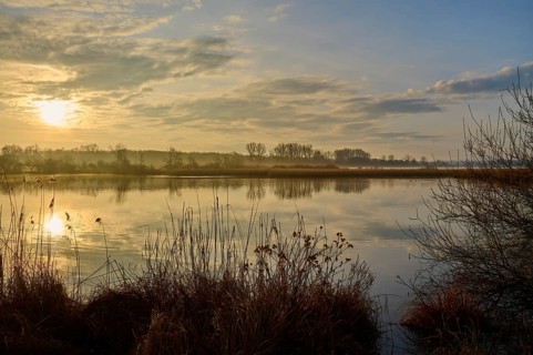Peaceful sunrise at the lake with golden light and calm nature, Reinheimer Teich, Reinheim, Hesse,