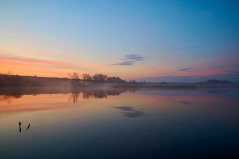Calm lake at sunrise with soft colours and clear reflections, Reinheimer Teich, Reinheim, Hesse,