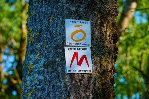 Signs on a tree trunk in a forest, surrounded by green leaves, Fladungen, Frankenheim, Hohe Rhön,