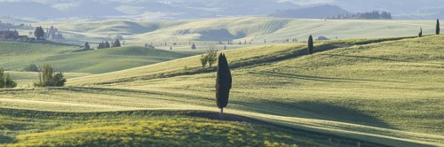 Landscape at sunrise around Pienza, Val d'Orcia, Orcia Valley, UNESCO World Heritage Site, Province