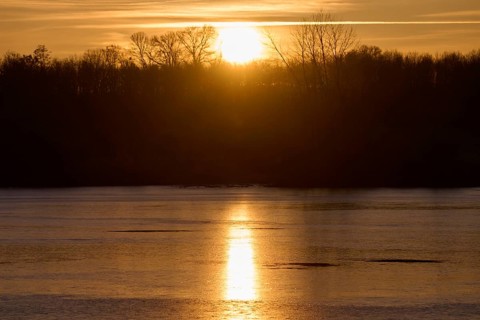 A still lake reflects the golden sunlight of a sunrise behind the trees, Reinheimer Teich,