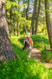 Person with a rucksack on a path through a sun-drenched forest, Alpe di Siusi, Dolomites, South