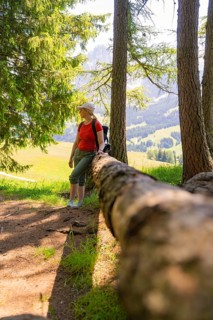 Woman leaning against a tree trunk, enjoying the forest landscape, Alpe di Siusi, Dolomites, South