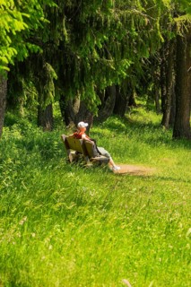 Person sitting on a bench at the edge of a green forest and relaxing, Alpe di Siusi, Dolomites,