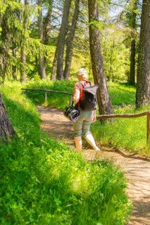 Person with rucksack walking on a forest path surrounded by trees, Alpe di Siusi, Dolomites, South