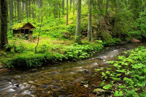 The Rötenbachschluchthütte in the forest, with moss on the roof. In front of it the Rötenbach with