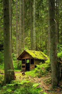 The Rötenbachschluchthütte in the forest, with moss on the roof, Rötenbachschlucht, Upper Black
