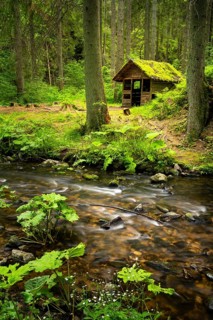 The Rötenbachschluchthütte in the forest, with moss on the roof. In front of it the Rötenbach with