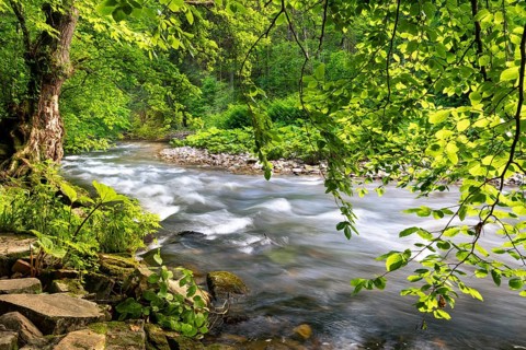 The river Wutach in the forest. Long exposure. Wutach Gorge, Upper Black Forest, Baden-Württemberg,