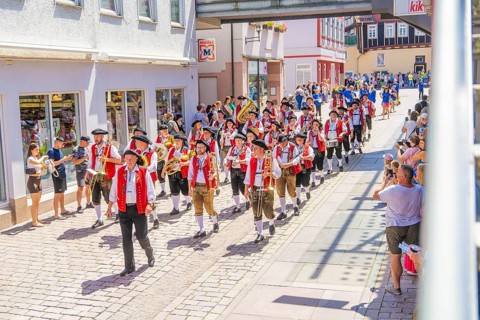 A brass band marches through a cobbled street, surrounded by spectators and historic buildings, 950