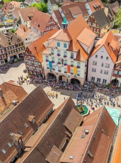 Crowd of people in front of historical buildings at a town festival, decorated with colourful