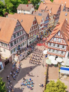 A large crowd gathers in front of half-timbered buildings during a colourful parade, 950 years of