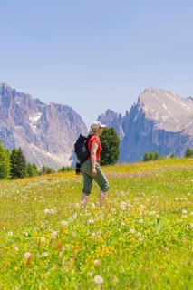 Hiker climbs the flowery meadow in front of impressive mountains, Alpe di Siusi, Dolomites, South