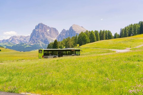Green bus crosses the meadow landscape with mountains in the background, Alpe di Siusi, Dolomites,