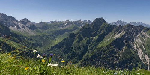 Mountain panorama with various mountain flowers from the Laufbacher-Eckweg into the rear Oytal with