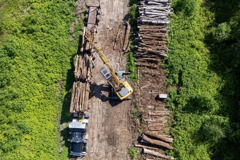 Tractor loading timber on a heavy hauler, Region of La Mauricie, Province of Quebec, Canada, North