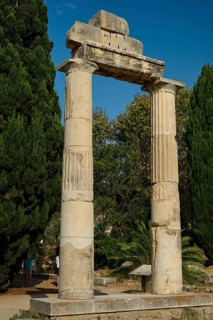 Free-standing ancient columns surrounded by dense vegetation, Ancient Agora, Kos Town, Kos,