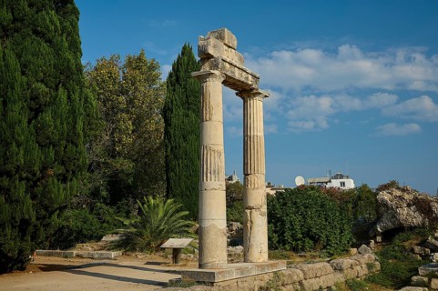Ancient columns against a blue sky, surrounded by lush vegetation, Ancient Agora, Kos Town, Kos,