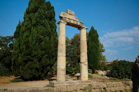 Ancient columns in a green setting with plants and play of light, Ancient Agora, Kos Town, Kos,