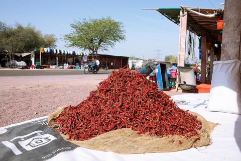 Chilli peppers in a heap at a market stall in the Thar Desert or Great Indian Desert, near