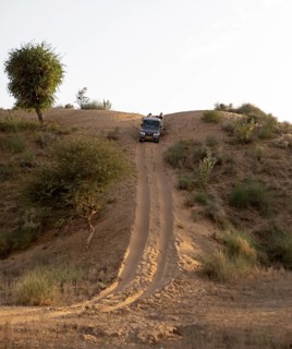 Jeep driving down a sand dune in the Thar Desert or Great Indian Desert, near Jaisalmer, Rajasthan,