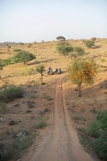 Jeeps waiting under a dune in the Thar Desert or Great Indian Desert, near Jaisalmer, Rajasthan,