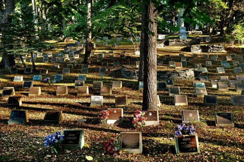 Dog cemetery, Blairstown, New Jersey, USA