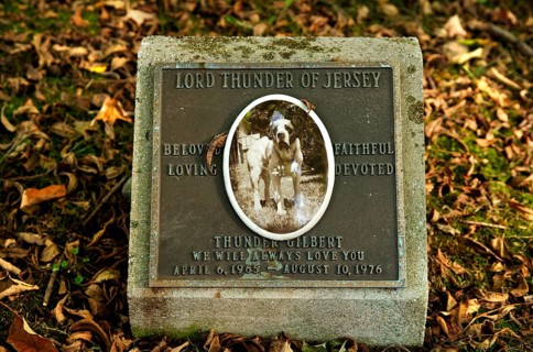 Gravestone of a dog in a dog cemetery, Blairstown, New Jersey, USA