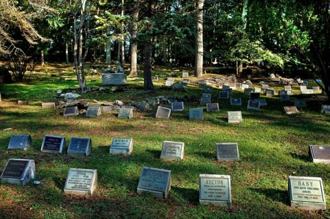 Dog cemetery in a wooded area, Blairstown, New Jersey, USA