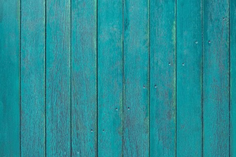 Detail of a green wooden door, background, texture, Münsterland, North Rhine-Westphalia, Germany