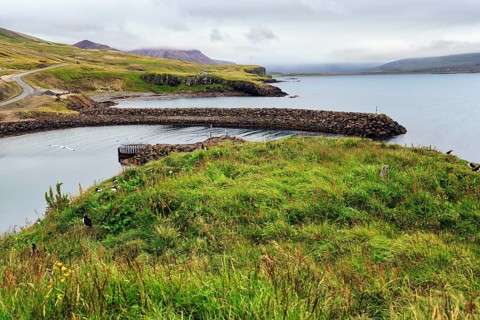 Meadow on bird cliff, coastline, Borgarfjarðarhöfn near Bakkagerði, Bakkagerdi, Borgarfjörður