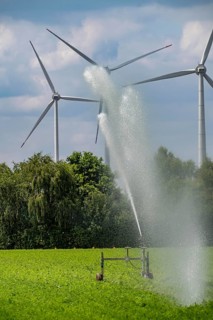 Artificial irrigation with a sprinkler system in a field where carrots are grown, wind farm, near