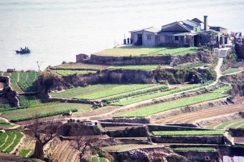 Captioned as 'Terrace farming', Pok Fu Lam, Hong Kong, Asia 1964