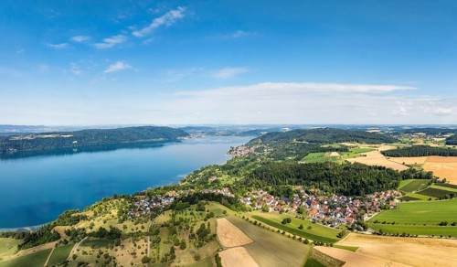 Luftbild, Panorama vom Bodensee mit der Ortschaft Hödingen, umgeben von erntereifen