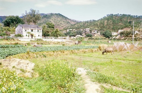 Farmland agriculture mixed use Tai Po, New Territories, Hong Kong, Asia, 1964