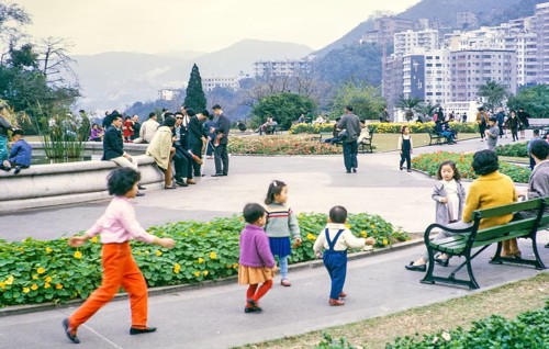 People on their family Sunday outings, Mid Levels, Botanical Gardens, Hong Kong, Asia, 1964