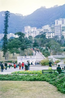 View up to Peak Tram station at Mid Levels, Botanical Gardens, Hong Kong, Asia, 1964