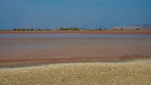 Lake with blue sky and brown shore in the distance, salt lake, Tigaki, nature reserve, hydro
