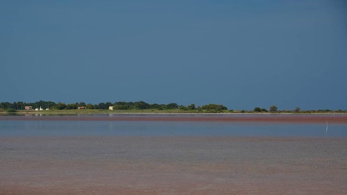 Tranquil coastal scene with blue sky and reflecting water, salt lake, Tigaki, nature reserve, hydro