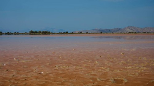 Expansive landscape with muddy shores and long stretches of water under a clear sky, salt lake,
