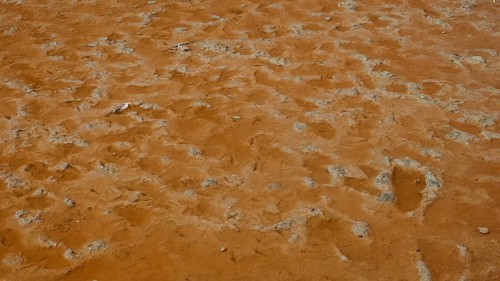 Close-up of ochre-coloured soil depicting natural patterns and textures, salt lake, Tigaki, nature