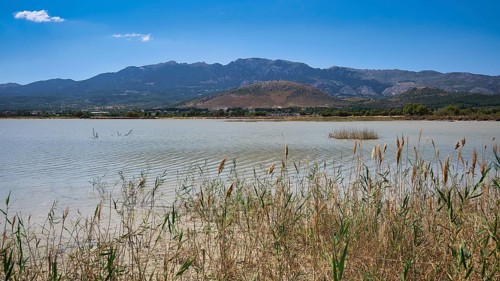 A calm lake with reeds in the foreground and mountains in the background under a clear sky, salt