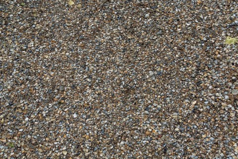 Shell gravel as paving, background, texture, Netherlands