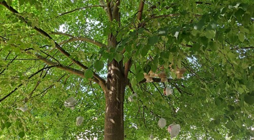 A large tree with green leaves, under whose branches several plates and cups hang as decoration,