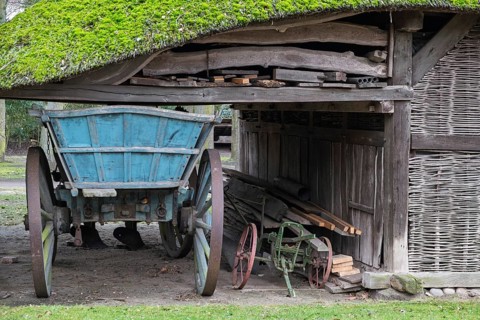Old barn with moss-covered thatched roof, Lower Saxony, Germany