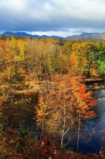 Riverbank, riverfront, Saco River in Mount Washington Valley, fall leaves, Indian summer, sunny