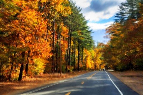 Country road through forest, fall leaves, Indian summer, sunny fall weather, smudge effect, blur,