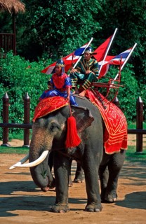 Performance with elephants at Samphran Elephant Ground and Zoo near Bangkok, Thailand, December