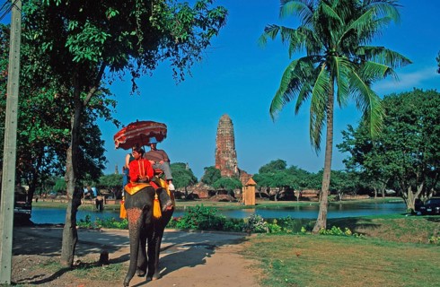 People, tourists, palm tree, temple ruins, riding on an elephant through ancient sights, Ayutthaya,