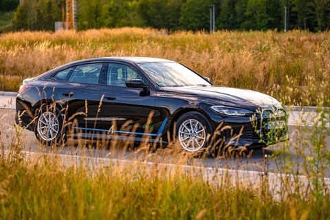 Black car on the side of the road surrounded by fields and trees, BMW i7 electric car, Deer E-